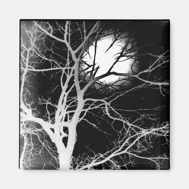 Aimant Lune (Devant)