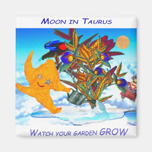 Aimant Lune de Taureau