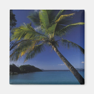 Aimant L'une des meilleures plages du monde ; Trunk Bay s