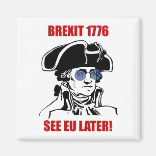 Aimant Lunettes de soleil à drapeau George Washington Bre