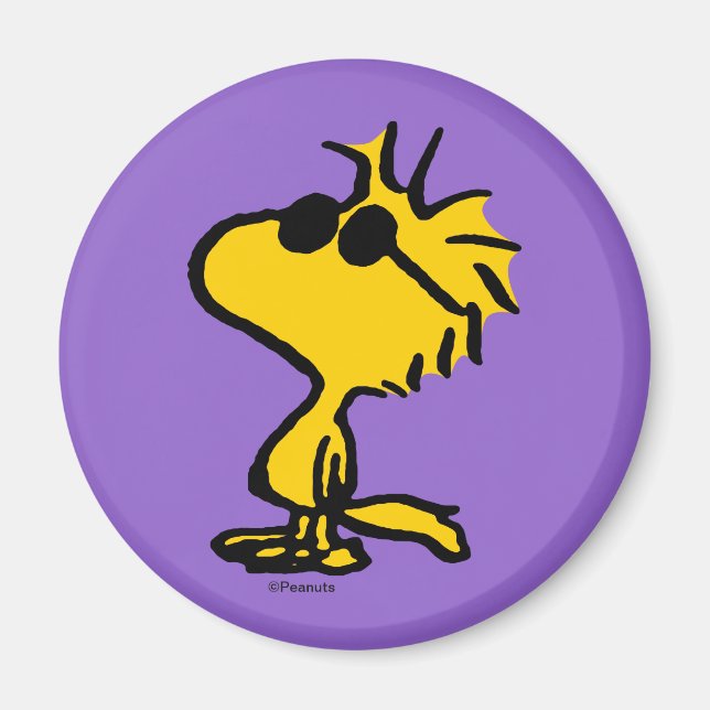 Aimant Lunettes de soleil Cool Woodstock (Devant)