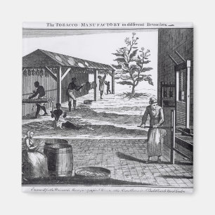 Aimant L'usine de tabac dans différentes branches