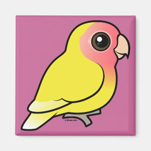 Aimant Lutino Peach face Lovebird