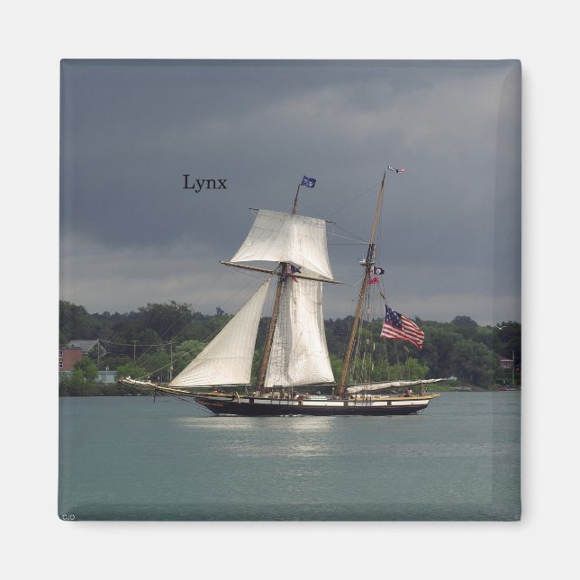 Aimant Lynx (Devant)