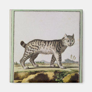 Aimant Lynx canadienne