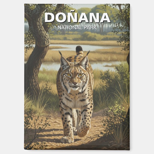 Aimant Lynx ibérique dans le parc national de Donana Voya (Recto)