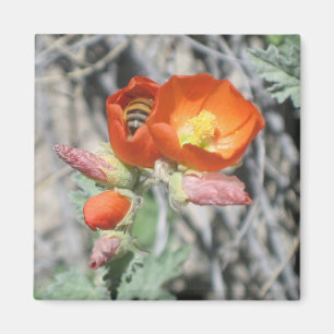 Aimant Ma peu d'abeille de miel