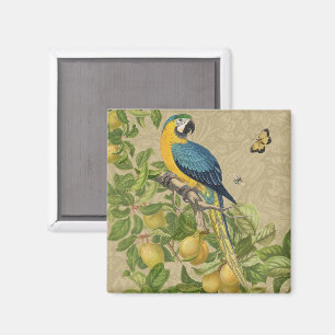 Aimant Macaw Blue Jaune Tropical Jungle Antique