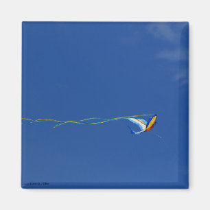 Aimant Macaw Kite
