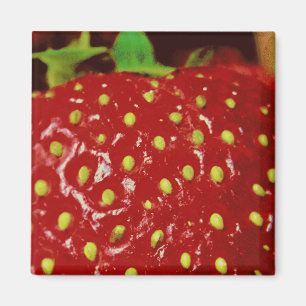 Aimant Macrographie des fraises