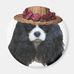 Aimant Madame Tansy