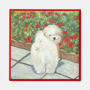 Aimant Magazine d'art de Chiens et de Poppies du Havanais