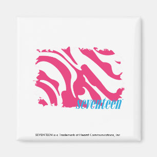 Aimant Magenta 3 de zèbre