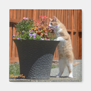 Aimant Maggie peut et des fleurs