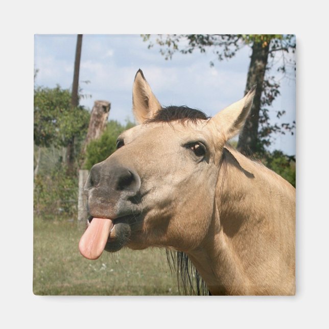 Aimant magie de la fraise (Devant)