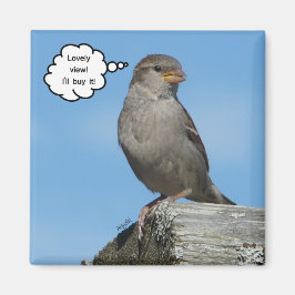 Aimant Magique de vue agréable