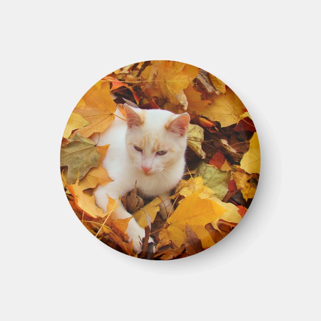 Aimant Magnat de chat d'automne (Devant)