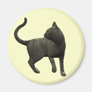 Aimant Magnat de chat noir malicieux