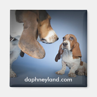 Aimant Magnat de rencontre de marionnettes