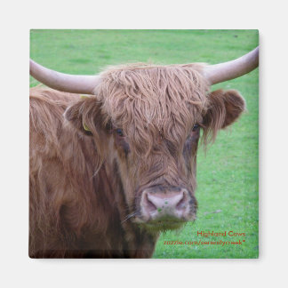 Aimant Magnat de vache Highland