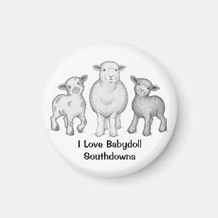 Aimant Magnat des moutons de Babydoll