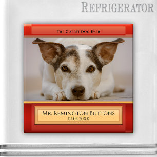 Aimant Magnat photo personnalisé pour chien ou chat