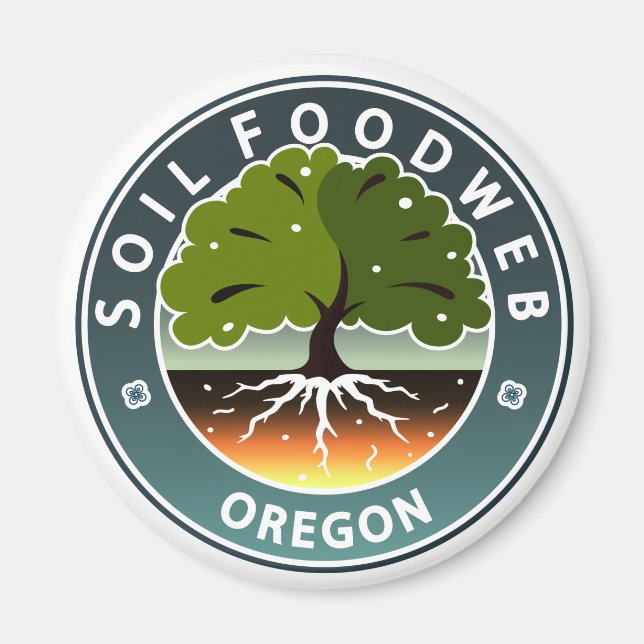 Aimant Magnat SFO (Devant)