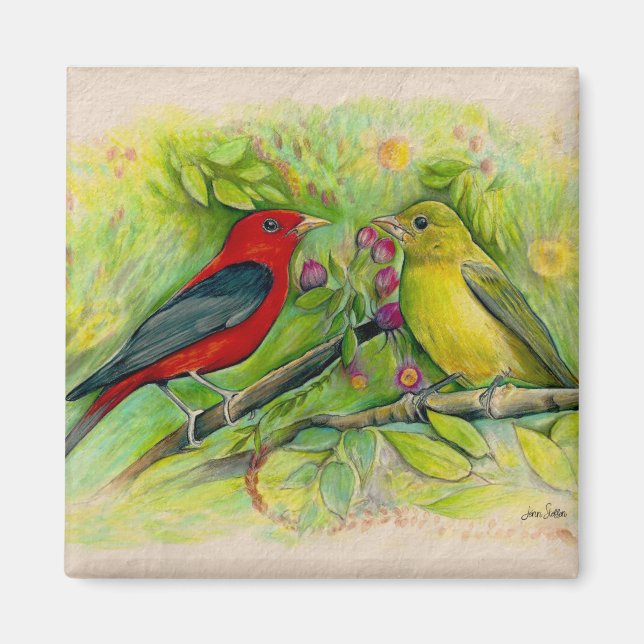Aimant Magnifique Scarlet Tanagers Aquarelle Peinture (Devant)