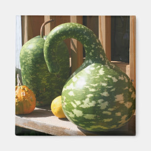 Aimant Magnifiques courges Photo de nature de ferme d'aut