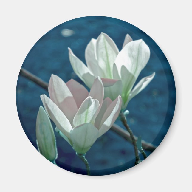 Aimant Magnolia (Devant)
