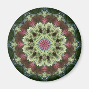 Aimant Magnolia Seed Pod Mandala