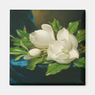 Aimant Magnolias géantes sur un tissu bleu de velours,