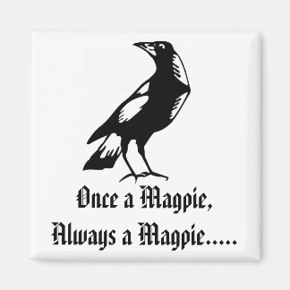 Aimant Magpies