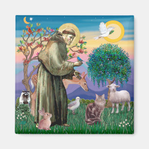 Aimant Maine Coon Cat - St Francis