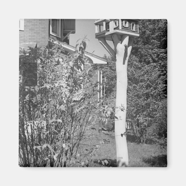 Aimant Maison d'oiseaux dans le jardin (Devant)