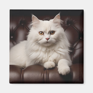 Aimant Majestic white cat
