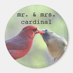 Aimant Mâle et photo cardinale femelle