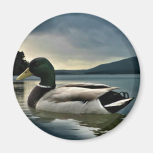 Aimant Mallard Duck