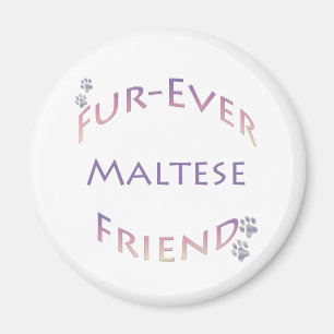 Aimant Maltais Furever