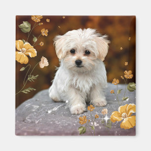 Aimant Maltese Puppy, oh si mignon,