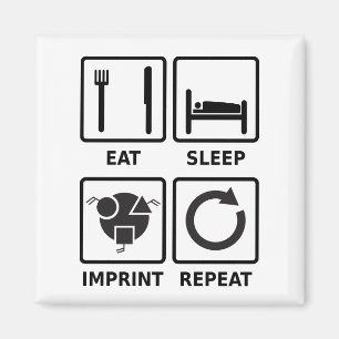 Aimant Manger, dormir, imprimer, répéter l'aimant mono gr