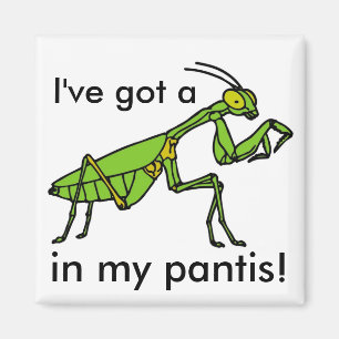 Aimant Mante dans mon Pantis !