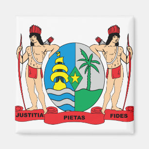 Aimant Manteau du Surinam de détail de bras