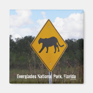 Aimant Marais parc national, la Floride
