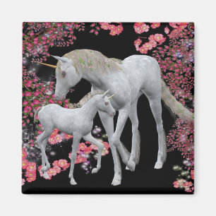Aimant Mare De La Unicorne Et Imaginaire Foal