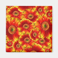 Marguerites de Gerbera jaune et orange
