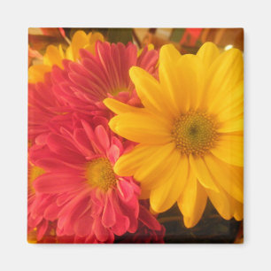 Aimant Marguerites roses et jaunes