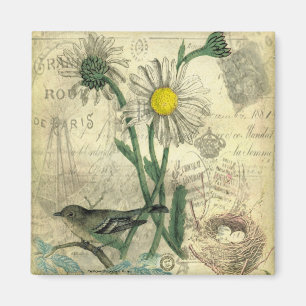 Aimant marguerites vintages