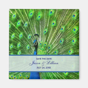Aimant Mariage Peacock Enregistrer La Date