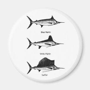 Aimant Marlin blanc - Marlin bleu - logo de pélerin